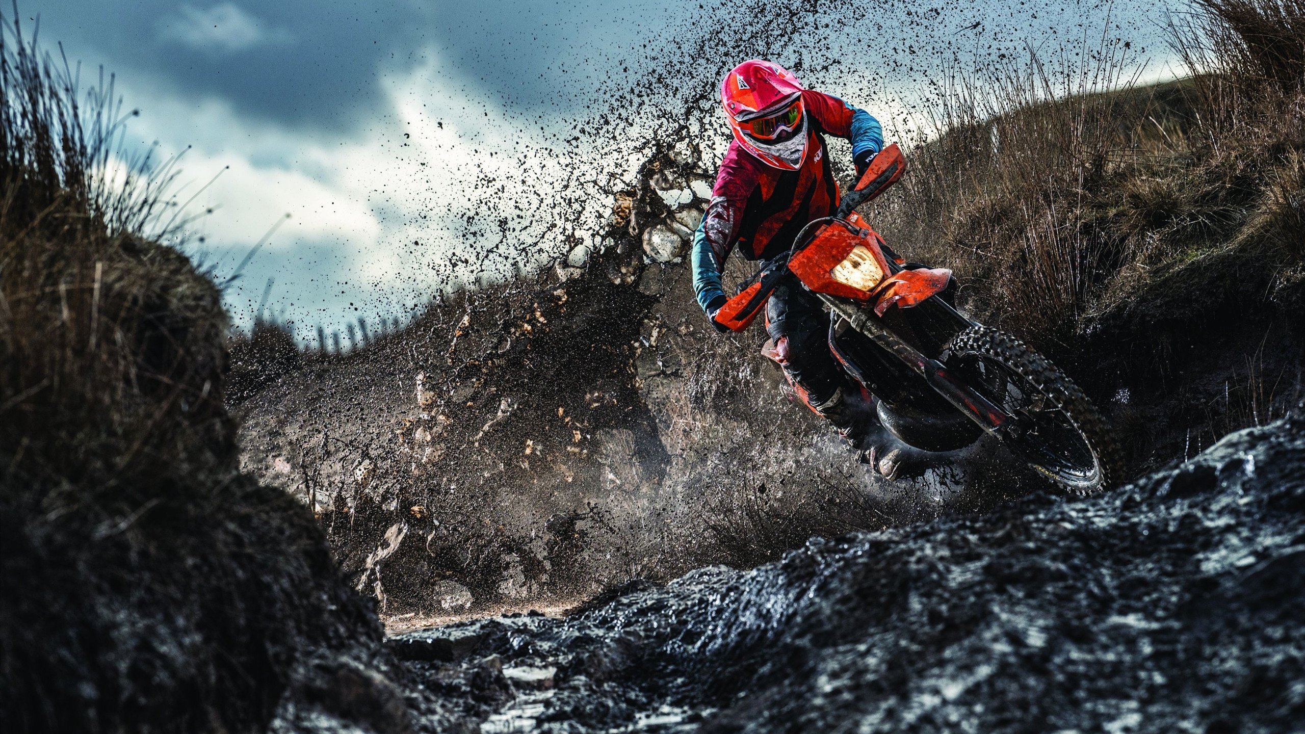 文班亚马冠军级表现启示录，从尼克斯淘汰广厦看竞技体育的永恒法则