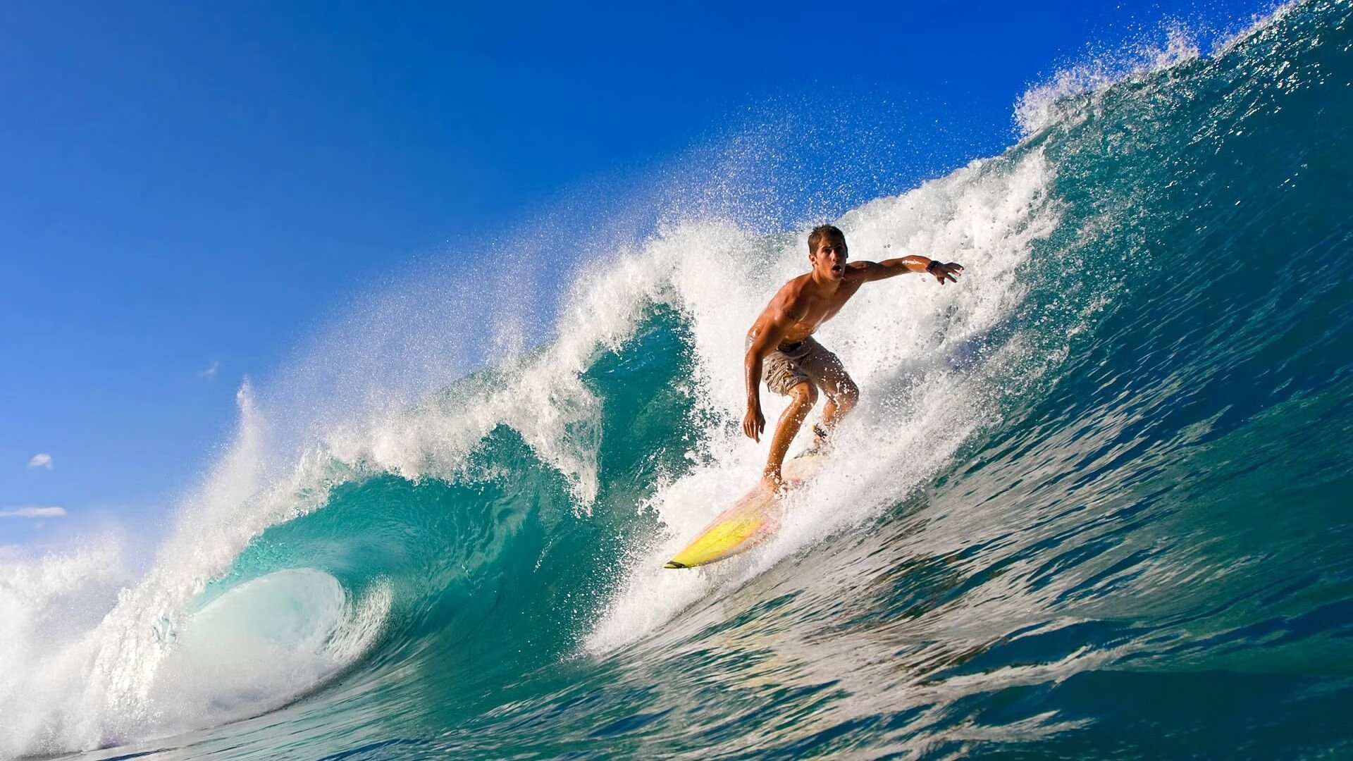 从沈阳到麦迪逊，当辽宁精神在NBA总决赛绽放